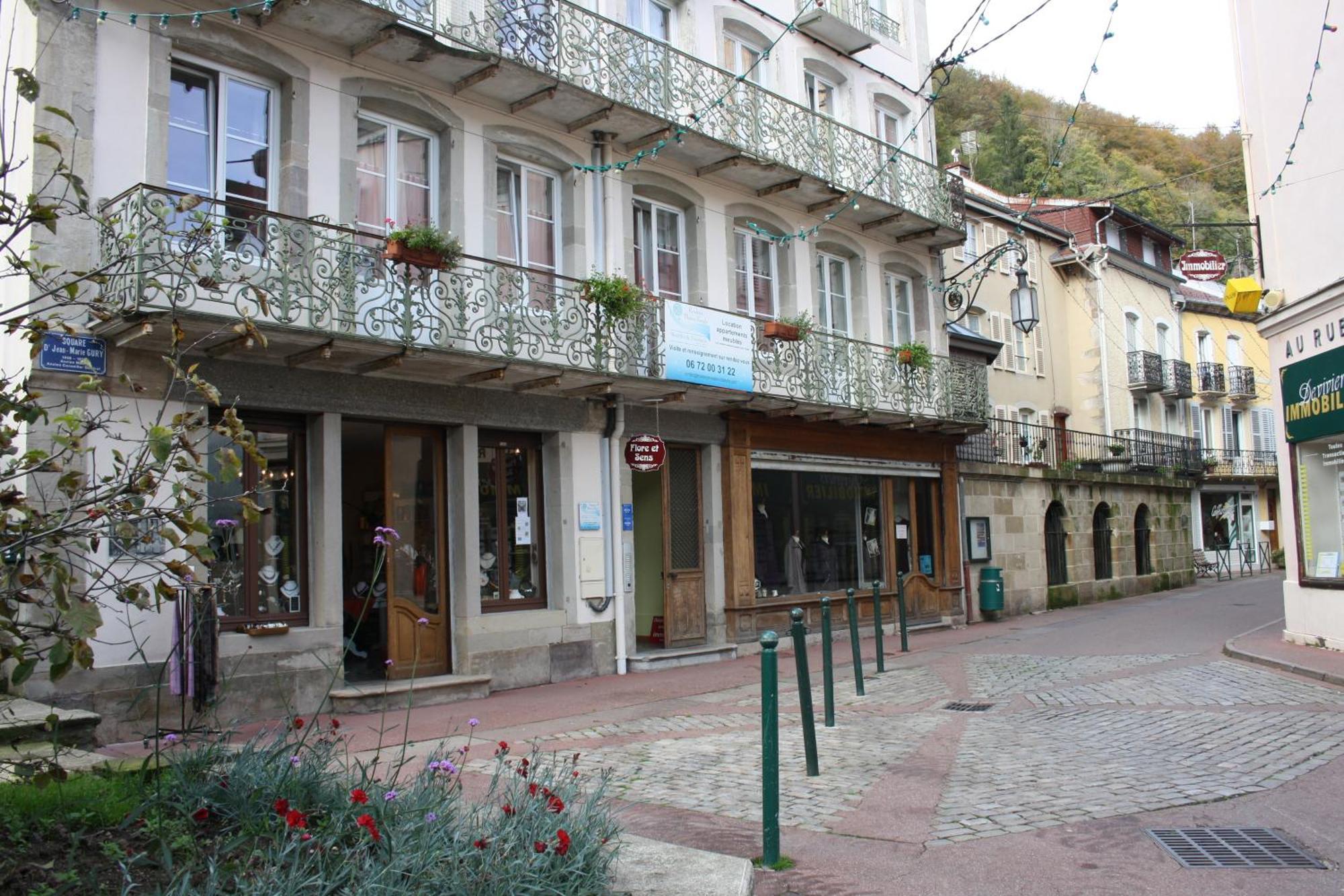 Residence Maison Blanche Plombières-les-Bains Buitenkant foto
